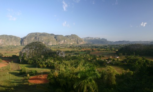 Circuit Cohiba