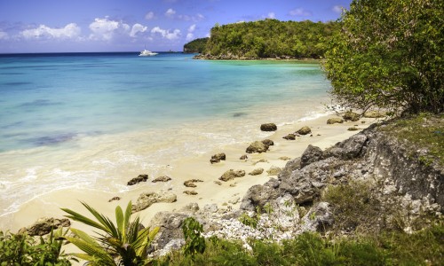 France, Caraïbes, Petites Antilles, Guadeloupe, Guadeloupe, Marie-Galante, Saint-Louis, Plage de Moustique // France, Caribbean, Lesser Antilles, Guadeloupe, Guadeloupe, Marie-Galante, Saint-Louis, Moustique Beach