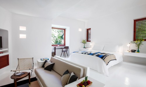 Jungle Suite with Plunge Pool
