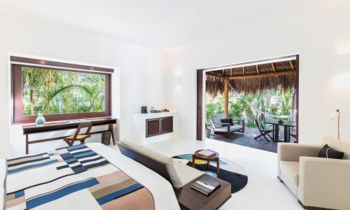 Jungle Suite