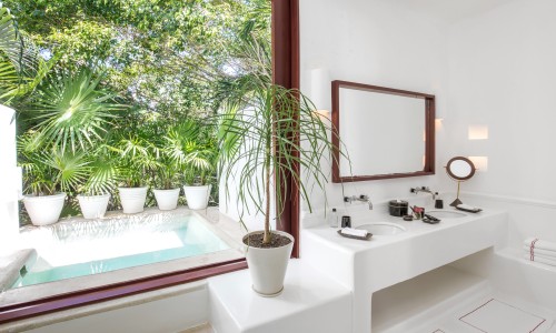 Jungle Suite with Plunge Pool