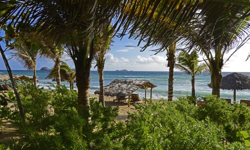 Manapany